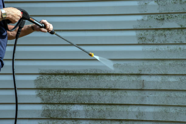 Animal Enclosure Cleaning in Homer, IL