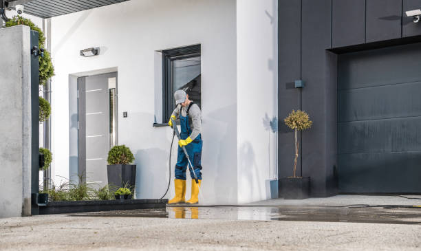 Best Paint Preparation  in Homer, IL